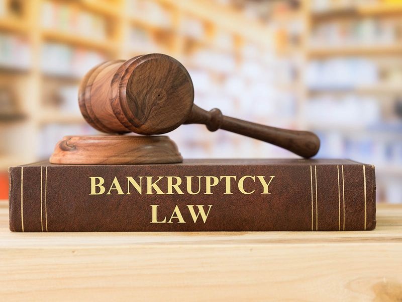The Fundamental Concepts of Chapter Seven Personal bankruptcy Bankruptcy Court